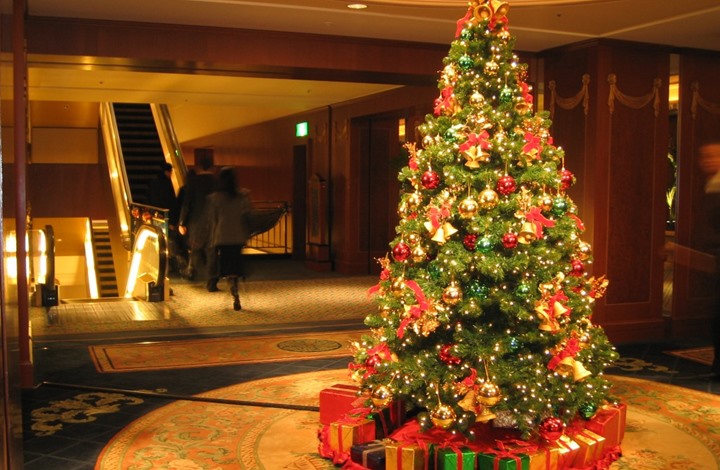 فتوى مثيرة لحاخام يهودي حول شجرة عيد الميلاد وعموم الاحتفال