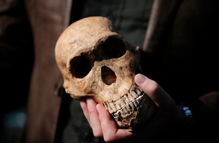 دراسة: الإنسان العاقل وصل إلى أوروبا قبل 54 ألف سنة