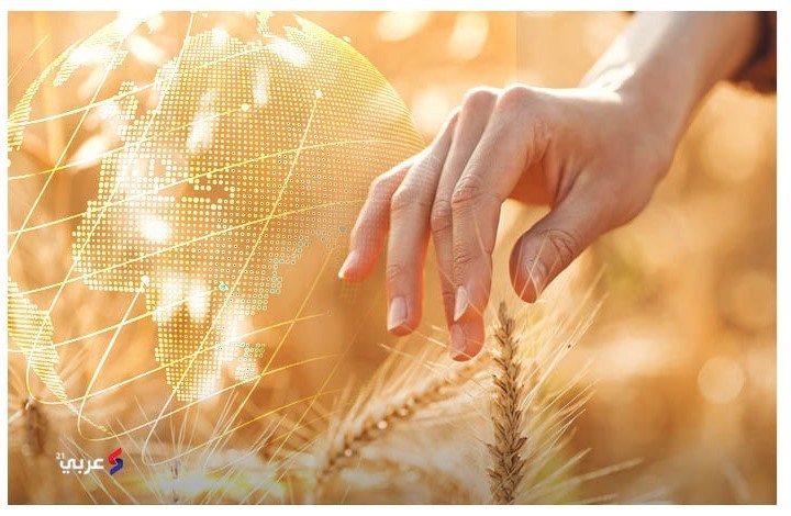 الغارديان تحذر من أزمة الغذاء العالمية.. لا وقت للهدر الغارديان تحذر من أزمة الغذاء العالمية.. لا وقت للهدر