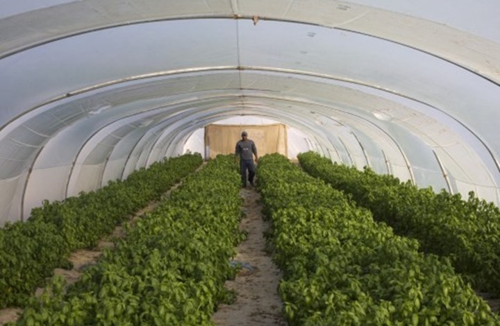 صحيفة: الإمارات توجه ضربة للقطاع الزراعي الأردني