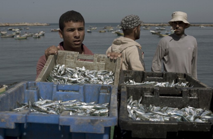 الاحتلال يعلن إعادة توسيع مساحة الصيد ببحر غزة لـ15 ميلا