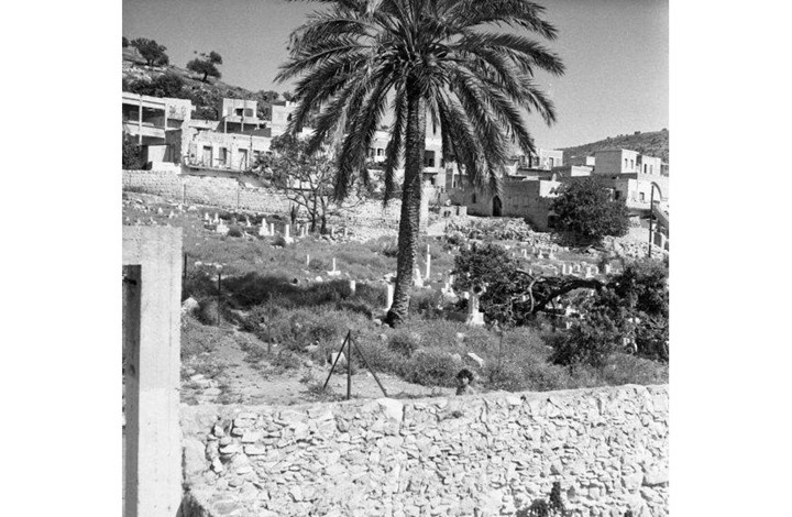 51 قرية دمرها الاحتلال في قضاء حيفا
