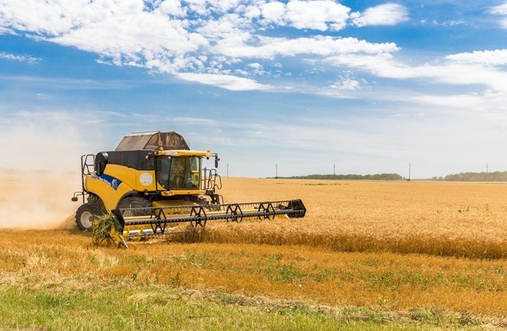 التايمز: محنة مزارعي القمح في أوكرانيا تنذر بمجاعة عالمية