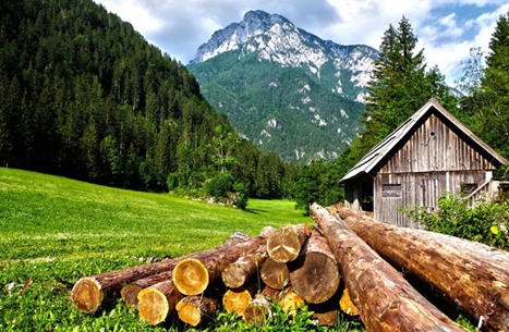 أكثر 10 منازل نالت الإعجاب في "إنستغرام" بعام 2020