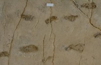أقدام "تراخيلوس" تثير جدلا حول أصل الجنس البشري