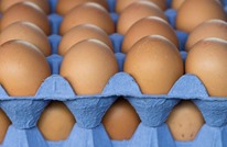 دراسة تنهي الجدل حول أضرار تناول البيض يوميا