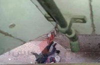 الأمن يقتل مصريا ويضع سلاحا بجانبه لاتهامه بإطلاق نار