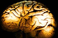 ما هي الأسرار التي يفصح عنها دماغ المضطرب نفسيا؟