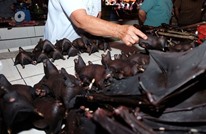 رغم مخاوف "كورونا".. مبيعات مرتفعة للحم الخفاش بإندونيسيا
