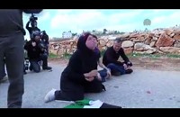مواجهة كل جمعة في الضفة الغربية (فيديو)