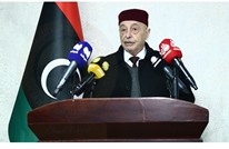 "دستور ليبيا" ترفض لجنة موازية.. وبحث دمج تشكيلات مسلحة