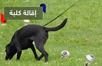الاستخبارات الأمريكية تقيل كلبة لعدم اكتراثها بالبحث عن المتفجرات!