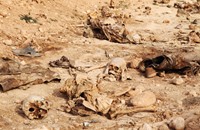 السلطات العراقية تنتشل 470 جثة من مقابر شمال بغداد