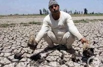 من المتسبب بجفاف وبوار أراضي مصر الزراعية؟ (فيديو+صور)