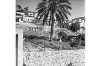 51 قرية دمرها الاحتلال في قضاء حيفا