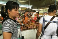 انطلاق مهرجان لحم الكلاب في الصين