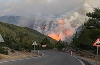تركيا: السيطرة على 74 حريقا من أصل 85 ودول تعرض المساعدة