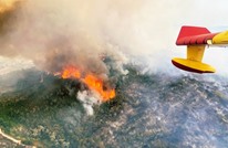 مئات الوفيات بأوروبا وحرائق غابات جراء موجة حر قياسية