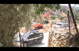 الاحتلال يقتلع أشجار زيتون لبناء جدار غرب بيت لحم