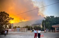 تواصل حرائق "غابات" تركيا.. وإخماد حريق قرب محطة حرارية