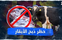 حظر ذبح الأبقار